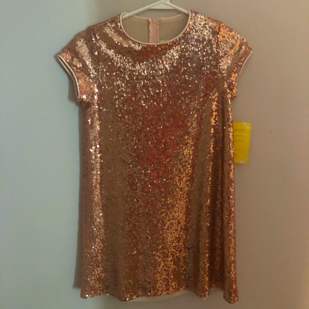 Light Pink Sequin Dress